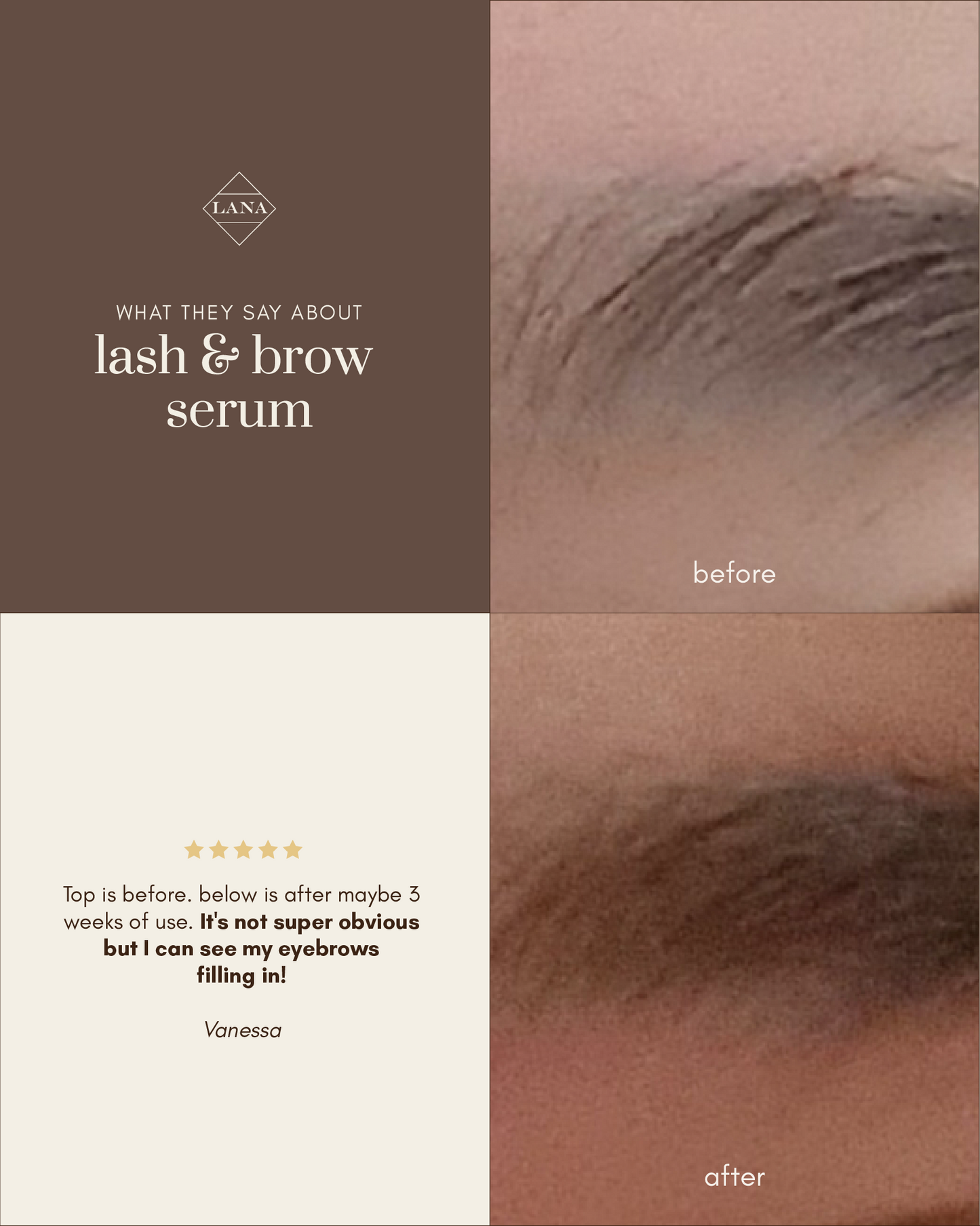 Lash and Brow Serum