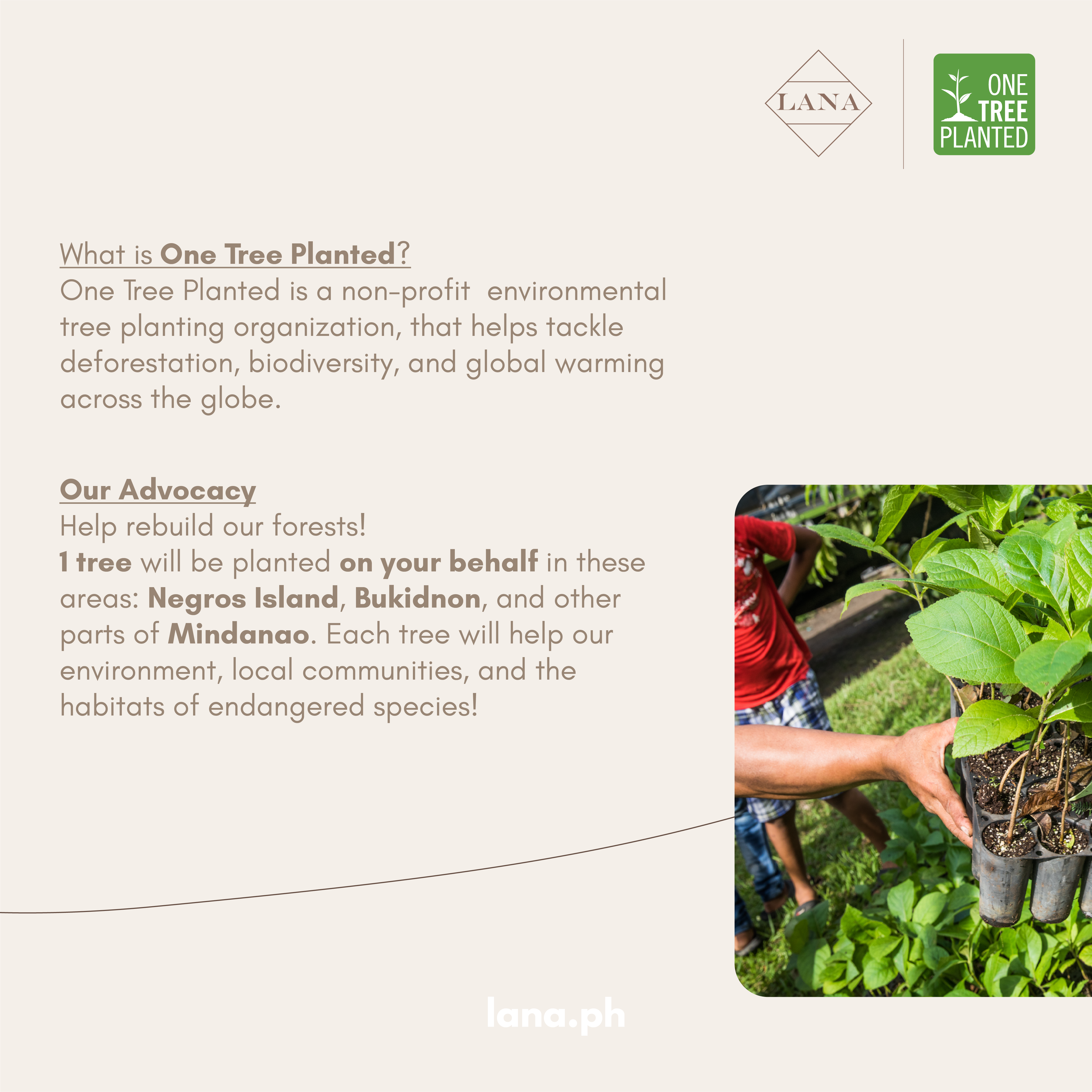 1 Tree Planted