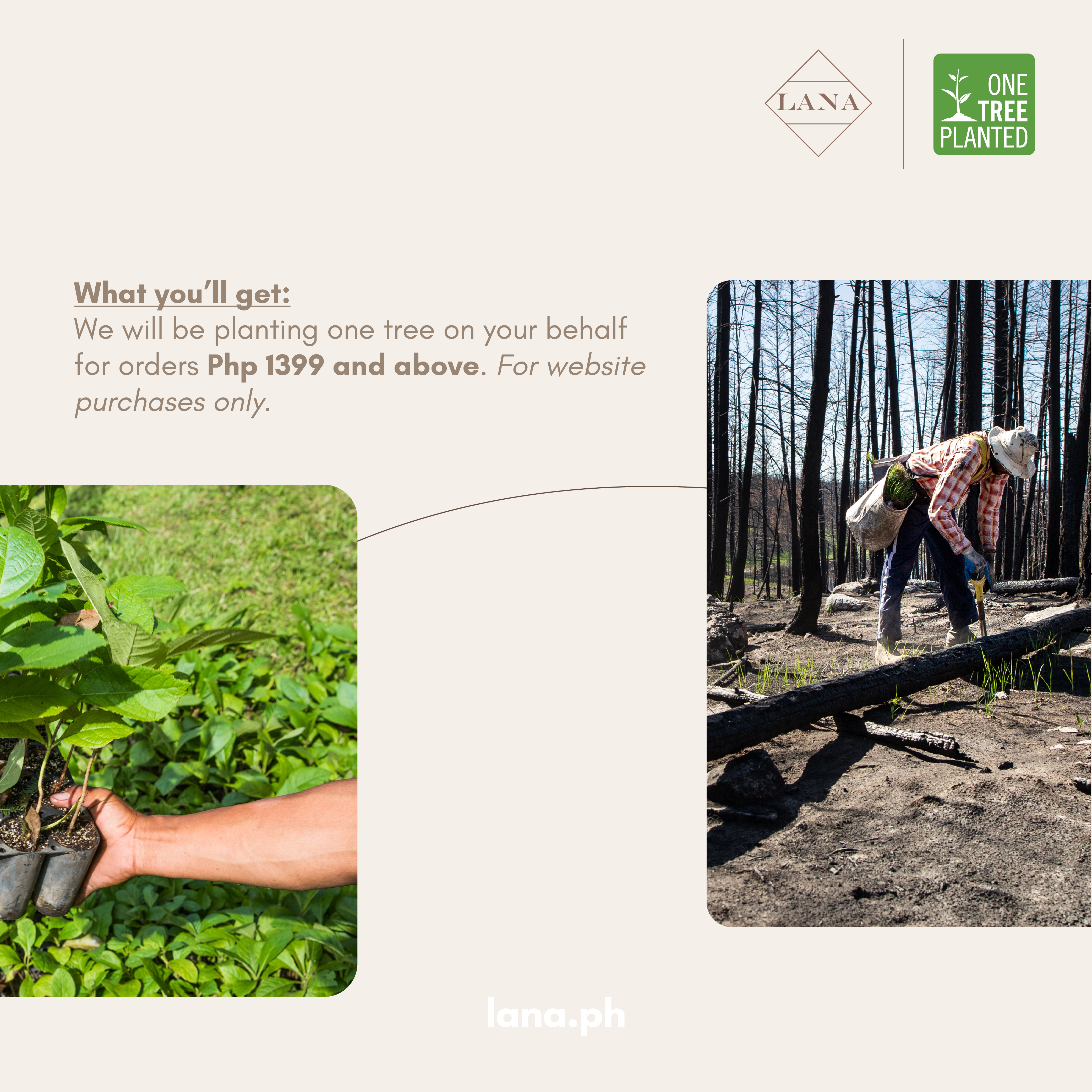 1 Tree Planted